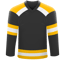 Boston Bruins